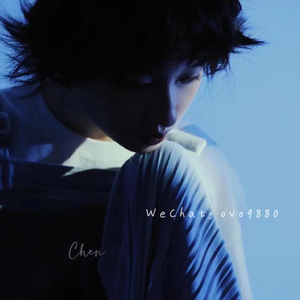 画涯网页版入口链接在线观看
